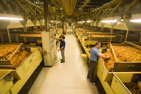 Universal Leaf Tobacco